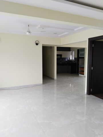 2 BHK Apartment For Rent in Tulip Lemon, Sector 69