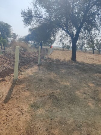 Plot For Resale in Dalelpura Dausa  7883015