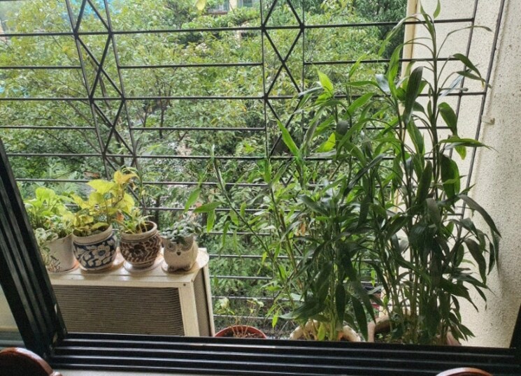 Balcony, prestige-residency-thane 1 Bedroom 600 Sq.Ft. Apartment In Dongripada Thane 7883034