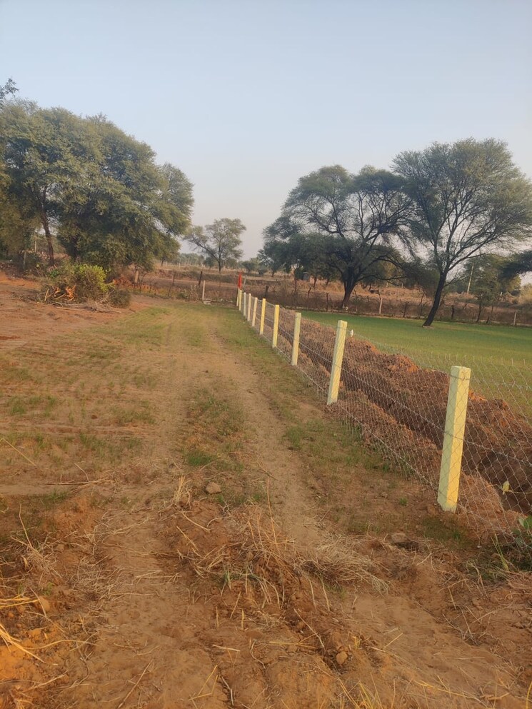 Exterior View, dalelpura  225 Sq.Yd. Plot In Dalelpura Dausa 7883407