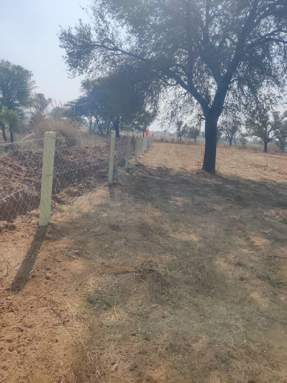 Plot For Sale in Dalelpura