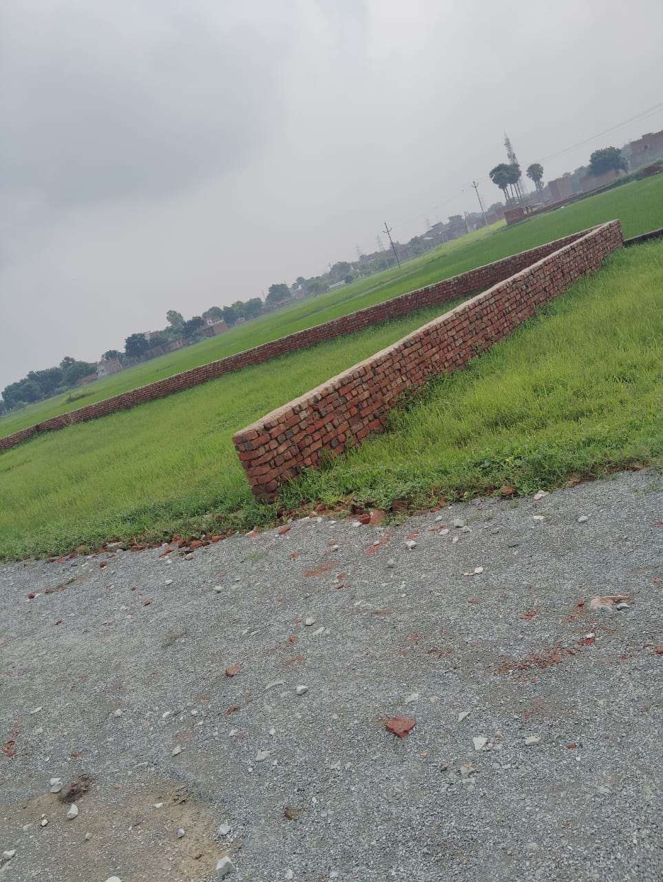 Plot For Resale in The IFCI Staff CHS Sector 9a Gurgaon  7883426