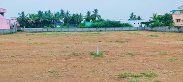 Plot Area in  Plot at Sector 53 Mohali – for Sale