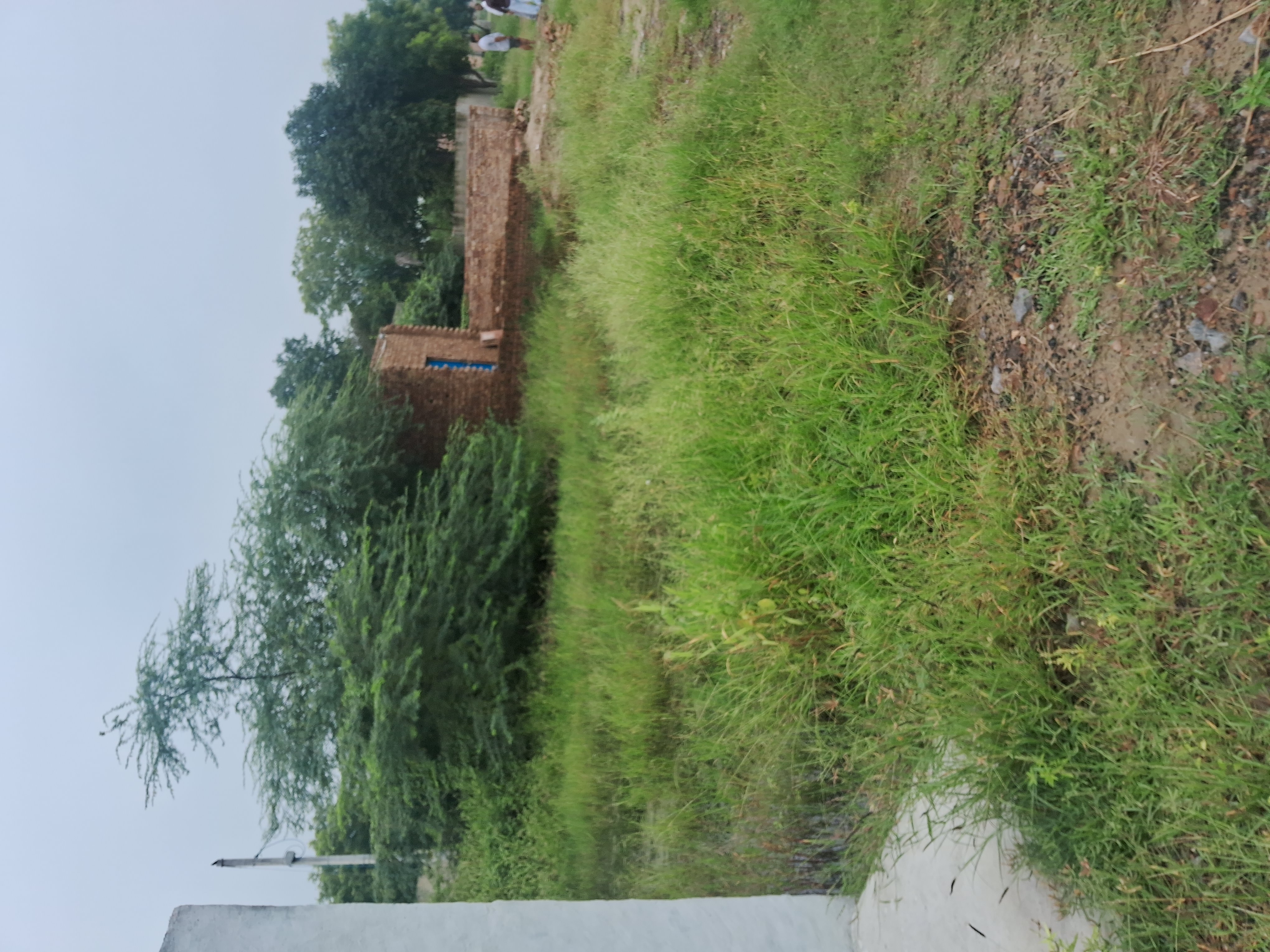 Plot For Sale in Sultanpur