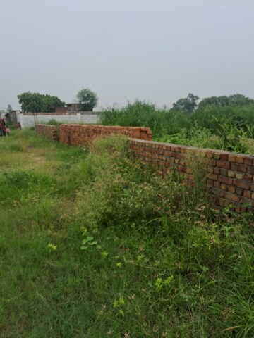  Plot – Exterior View View at Sultanpur - for Sale