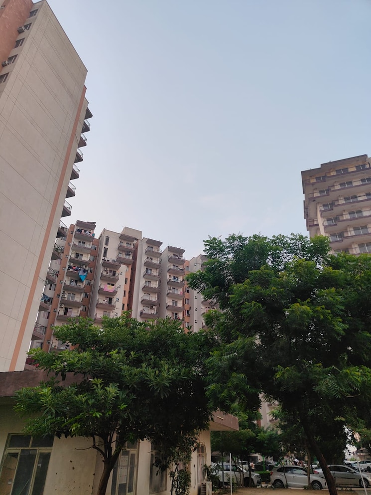 Exterior View, rof-aalayas-phase-2 3 Bedroom 864 Sq.Ft. Apartment In Sector 102 Gurgaon 7883927