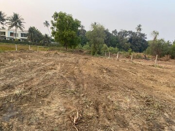 Plot Area in  Plot at Sector 146 – for Sale