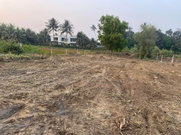 Plot Area in  Plot at Sector 146 – for Sale