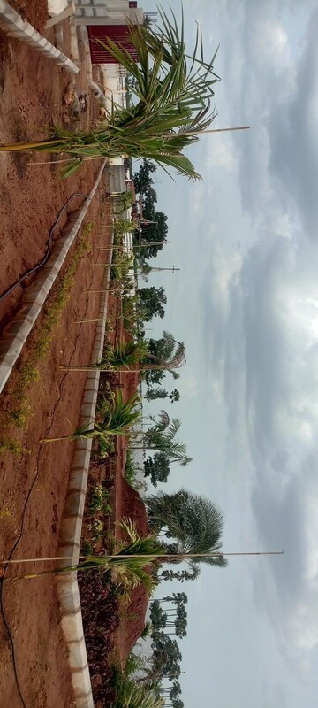  Plot – Exterior View View at Sri Bhumi Eeshaanya, Kankipadu - for Sale