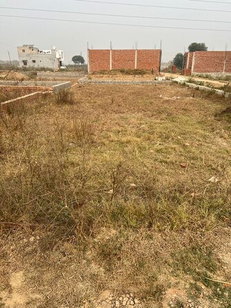 Plot For Resale in MI Gordon Mohanlalganj Lucknow  7885052