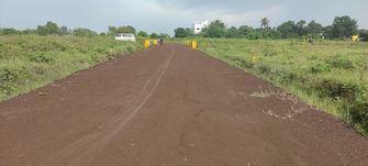 Plot For Resale in Mhasrul Nashik  7885180