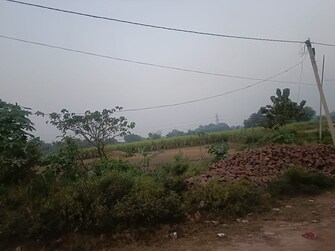 Commercial Land 6750 Sq.Ft. For Resale in Milkipur Ayodhya  7885224