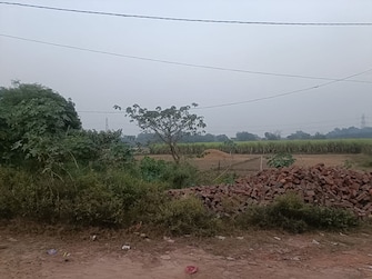 Commercial Land 6750 Sq.Ft. For Resale in Milkipur Ayodhya  7885224