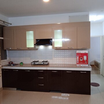 1.5 BHK Apartment For Rent in Tulip Lemon, Sector 70