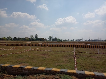 Plot For Resale in Anekal Bangalore  7886465