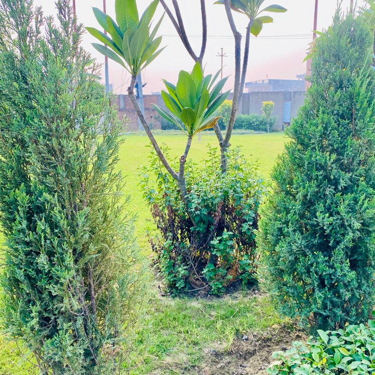 Garden, ljk-vasto  1575 Sq.Ft. Plot In Makhdoompur Kaithi Lucknow 7886725