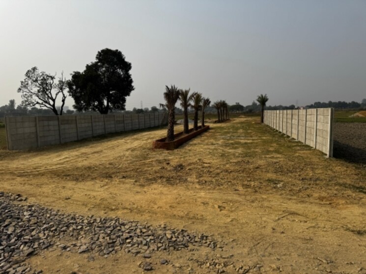 undefined, wazirganj  1000 Sq.Ft. Plot In Wazirganj Lucknow 7886811