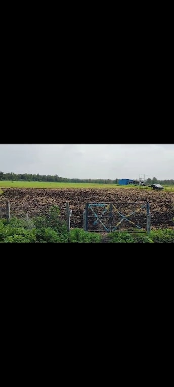 Commercial Land 20 Acre For Resale in Pipaliya Berkhedi Bhopal  7886999