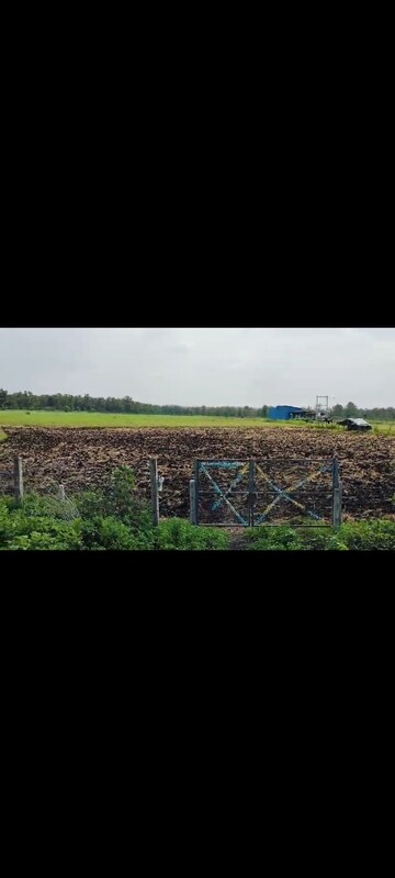 Commercial Land 20 Acre For Resale in Pipaliya Berkhedi Bhopal  7886999