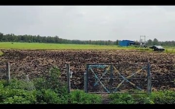 Land For Sale in Pipaliya Berkhedi