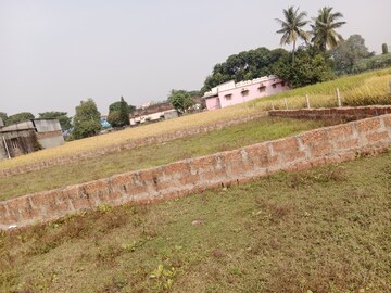 Plot Area in  Plot at Pratap Nagari – for Sale