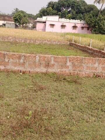 Plot Area in  Plot at Pratap Nagari – for Sale