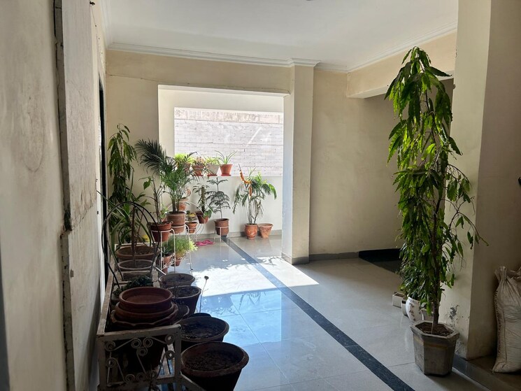 Balcony, peer mucchalla 3 Bedroom 2150 Sq.Ft. Builder Floor In Peer Mucchalla Zirakpur 7887212