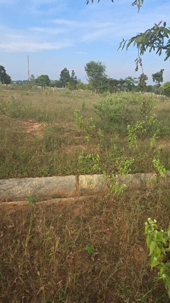 Plot For Resale in Manchappanahally Bangalore  7887261