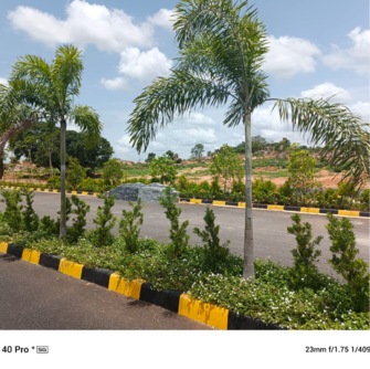 Plot For Resale in Silpa Raghava Botanica Kandukur Hyderabad  7887334