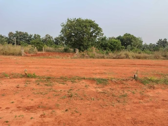 Plot For Resale in Duvvada Vizag  7887353