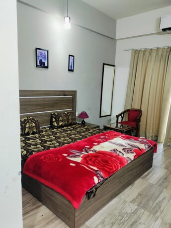 1 BHK Apartment For Rent in Paramount Golfforeste Gn Sector Zeta I Greater Noida  7887486