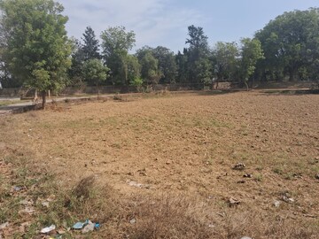 Plot Area in  Plot at Bhondsi – for Sale