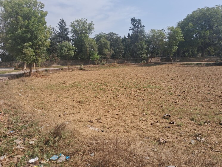 undefined, bhondsi  160 Sq.Yd. Plot In Bhondsi Gurgaon 7887558