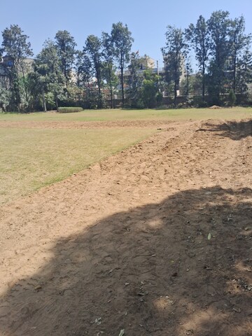Plot Area in  Plot at Sultanpur – for Sale