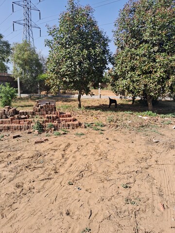  Plot – Exterior View View at Sultanpur - for Sale