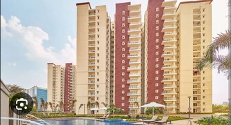 3 BHK Apartment For Rent in Prestige Ivy Leagu Kondapur Hyderabad  7887718