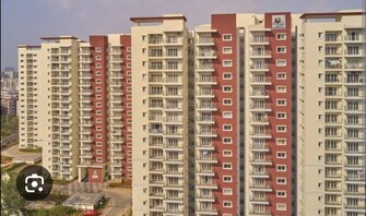 3 BHK Apartment For Rent in Prestige Ivy Leagu Kondapur Hyderabad  7887718