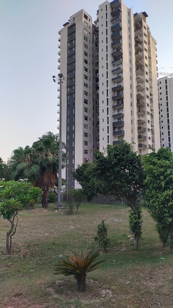 2 BHK Apartment For Resale in Sikka Kaamna Greens Sector 143a Noida Noida  7887818