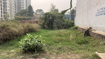 Plot For Resale in Shamdo Patiala  7887769