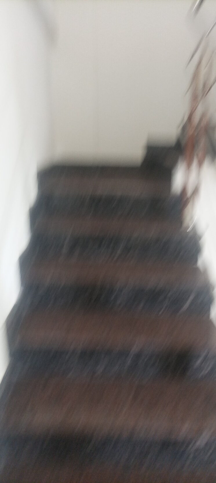 Room, koramangala 3 Bedroom 1770 Sq.Ft. Apartment In Koramangala Bangalore 7888109