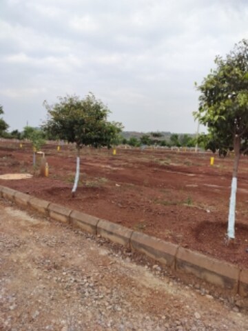 Plot Area in  Plot at Kamkole – for Sale