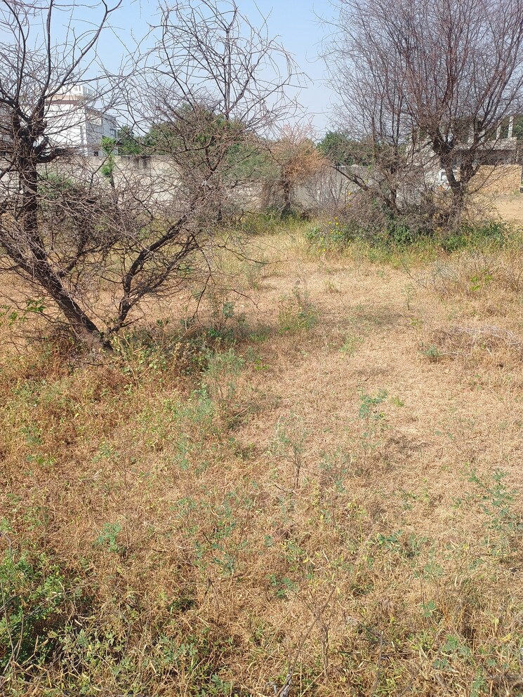 Garden, gandhi path  216 Sq.Yd. Plot In Gandhi Path Jaipur 7888193