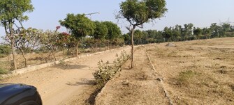 Plot For Resale in Patel Nagar Jhajjar  7888243