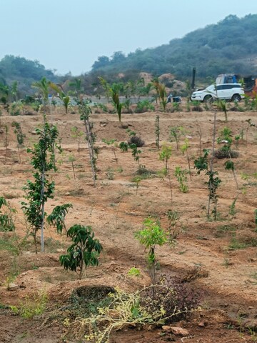 Plot Area in  Plot at Jangaon – for Sale