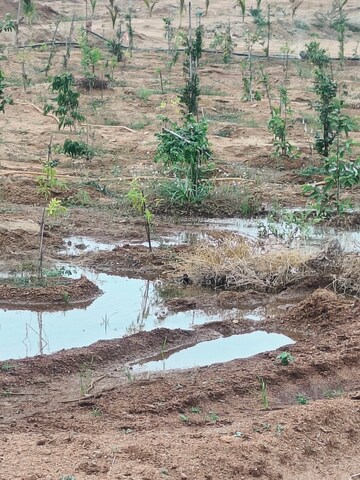  Plot – Exterior View View at Jangaon - for Sale