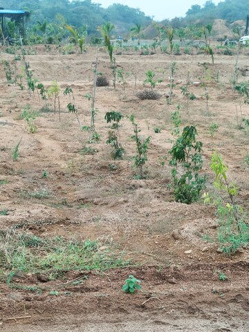 Plot Area in  Plot at Jangaon – for Sale
