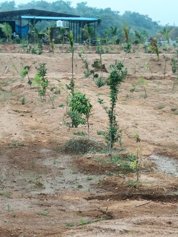 Plot Area in  Plot at Jangaon – for Sale