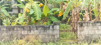 Plot For Resale in Thiroor Thrissur  7888441