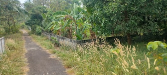 Plot For Resale in Thiroor Thrissur  7888441