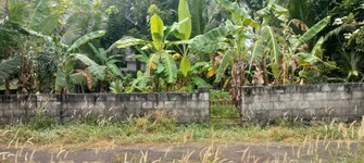 Plot For Resale in Thiroor Thrissur  7888441